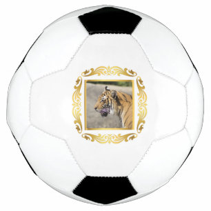 Bola De Futebol Tiger enquadrado