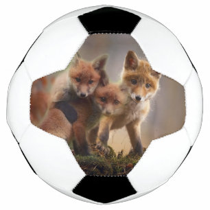 Bola De Futebol Tripletes Foxy