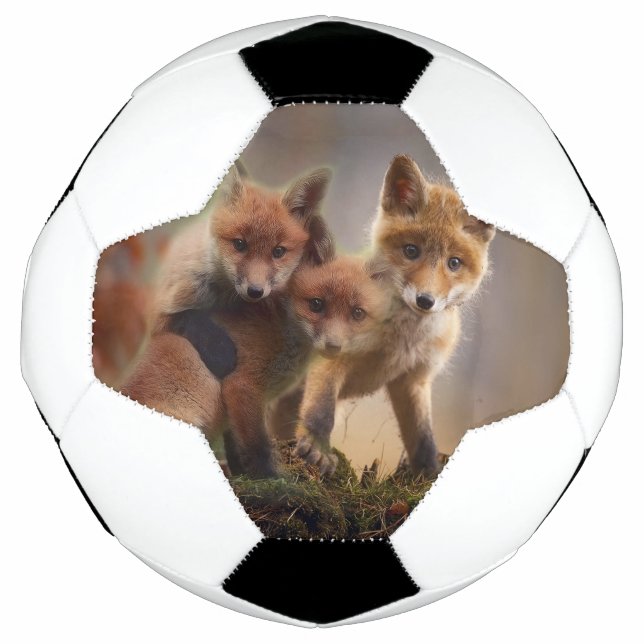 Bola De Futebol Tripletes Foxy (Frente)