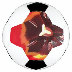 Bola De Futebol Tulipa Vermelha Escarlate 