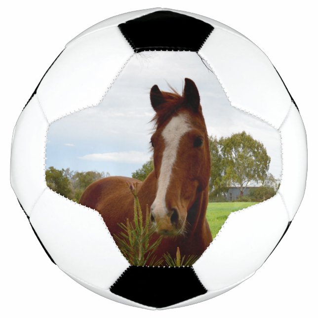 Bola De Futebol "Um Chifre da Natureza: Um Chestnut Horse e Banksi (Frente)