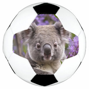 Bola De Futebol Urso Purple Jacaranda Koala
