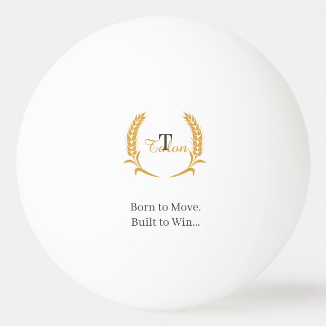 Bola de Ping Pong (Frente)