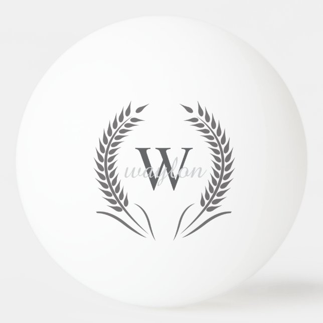 Bola de Ping Pong (Frente)