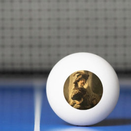 Bola de Ping Pong do Porta-Estandarte de Rembrandt