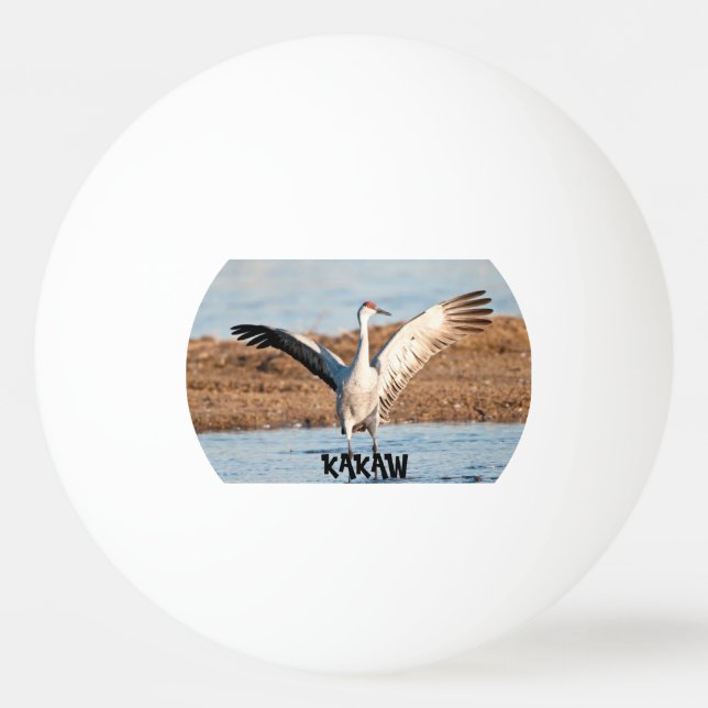 Bola de Ping Pong KAKAW (Frente)
