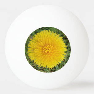 Bola de Pinos de Três Estrelas da Flor Amarela