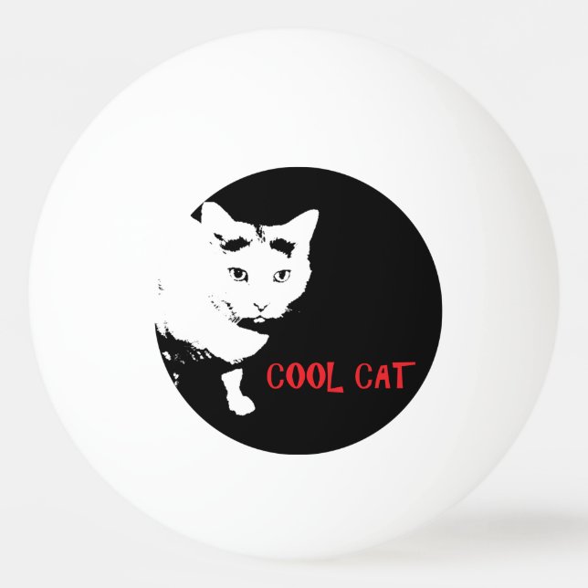 BOLA DE PONG CAT PING legal (Frente)