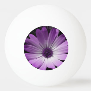 Bola de Pong da Flor Roxa