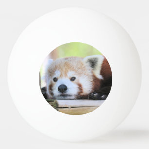 Bola de Pong de Ping Bonito