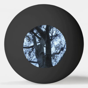 Bola de Pong do Ping com Fotografia em Árvore