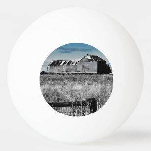 Bola de Pong do Relic Rural Australiano