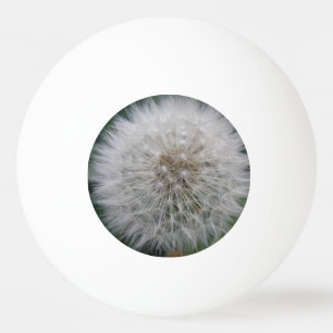 Bola do Pong do Flor Dandelion