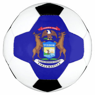 Bola Patriótica de Futebol com Bandeira de Michig