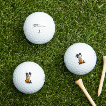 Bolas de Golfe Border Collie