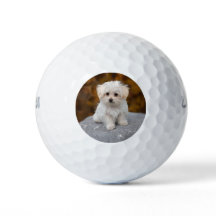 Bolas de Golfe Personalizadas com Foto de Animal d