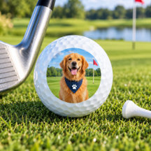 Bolas de Golfe Personalizadas com Foto de Pet