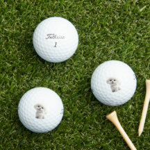 Bolas de Golfe Tema Bichon Frise