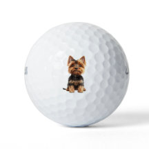 Bolas de Golfe Yorkshire Terrier