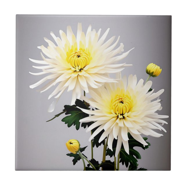 Bold Chrysanthemum Abstrato (Frente)