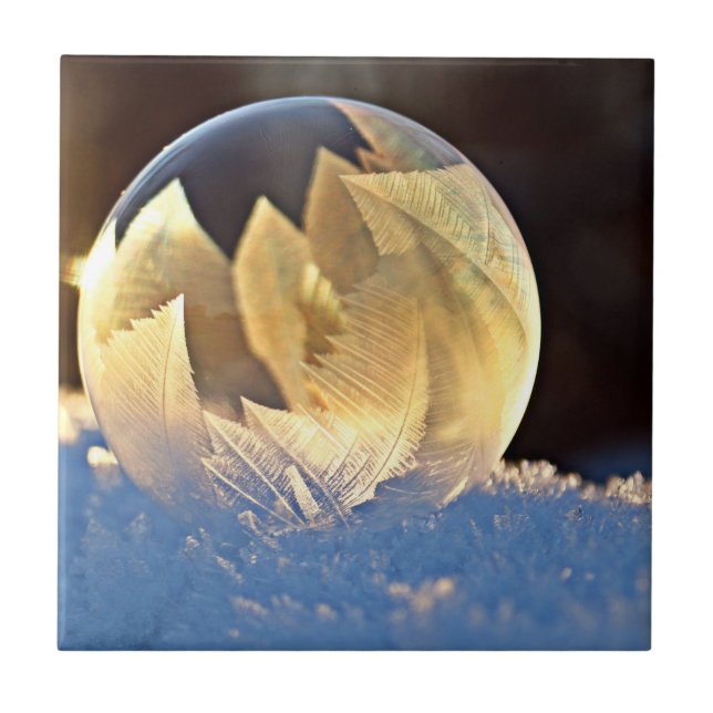 Bolha de sabão na neve (Frente)