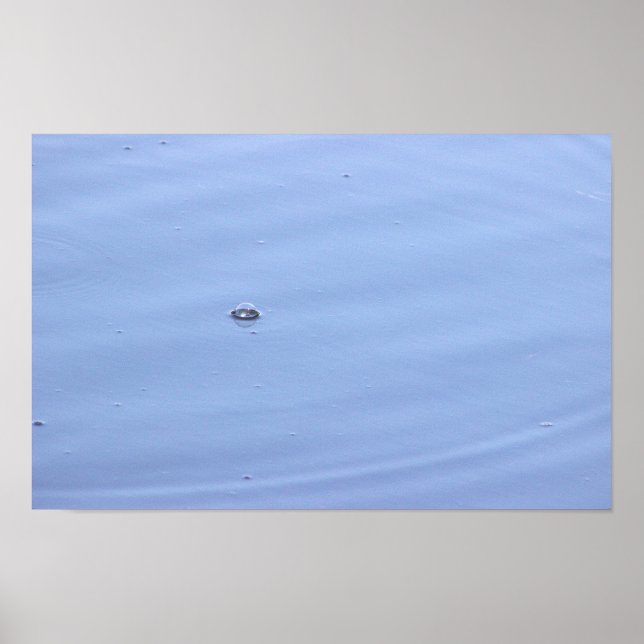 Bolha em Pond Poster (Frente)