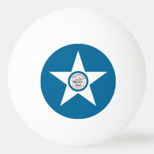 BOLINHA DE PING PONG 