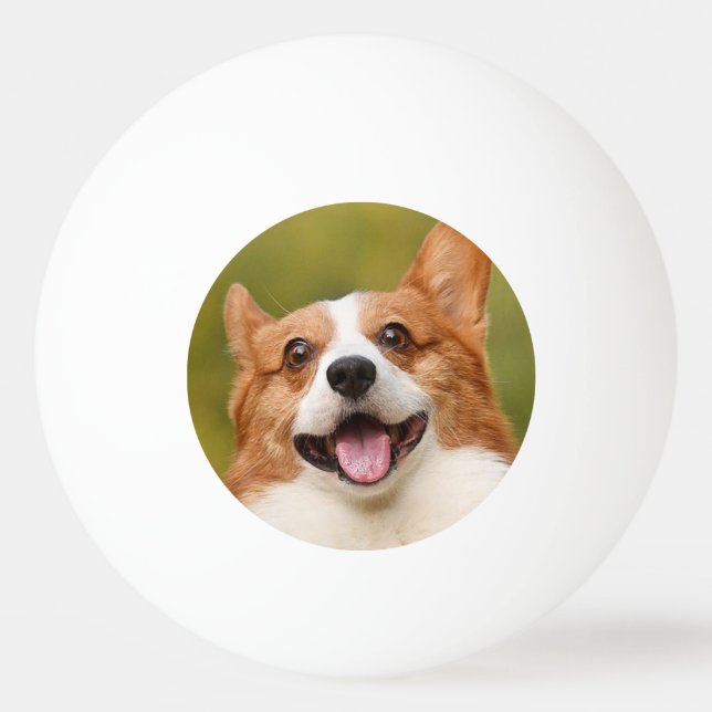 Bolinha De Ping Pong Adicionar Foto de Cão Personalizada Personalizada (Frente)