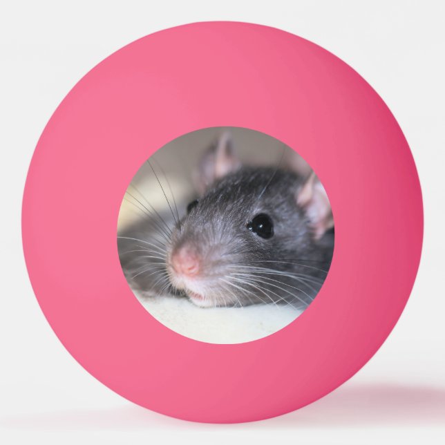 Bolinha De Ping Pong Adorável (Frente)