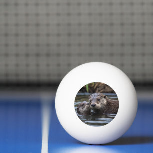 Bolinha De Ping Pong **"Adrift in Love: Mummy and Baby Otter"**