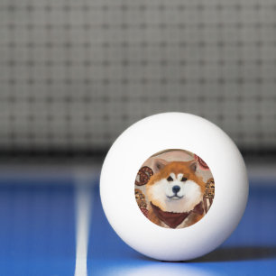 BOLINHA DE PING PONG AKITA