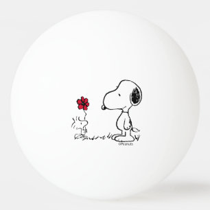 Bolinha De Ping Pong Amendoins Esnoopia e Woodstock Vermelho e Preto