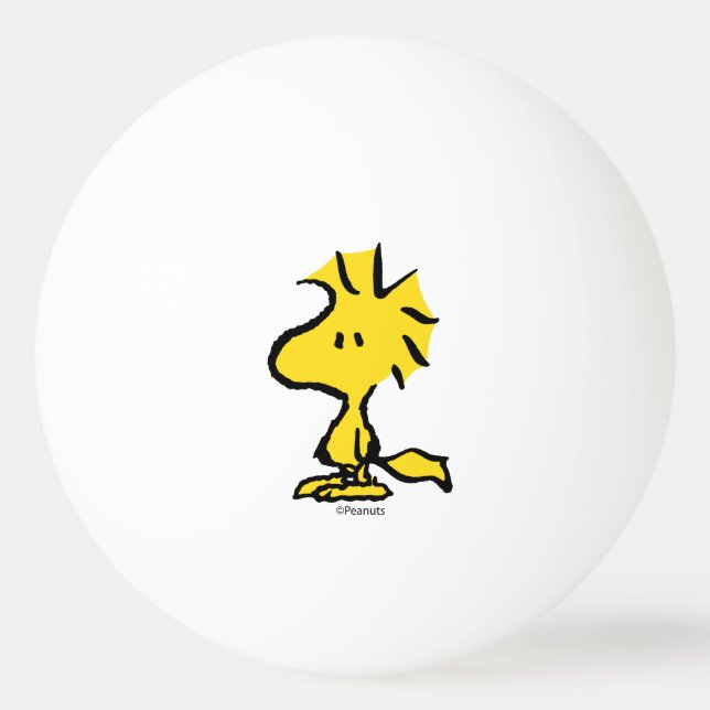 Bolinha De Ping Pong Amendoins | Floresta Amiga de Snoopy (Frente)