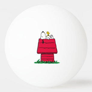 Bolinha De Ping Pong Amendoins Snoopy & Woodstock Doghouse