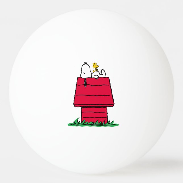 Bolinha De Ping Pong Amendoins | Snoopy & Woodstock Doghouse (Frente)