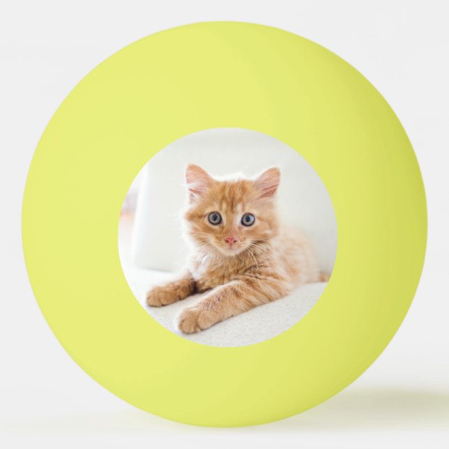 Bolinha De Ping Pong Amor de Kitten (Frente)