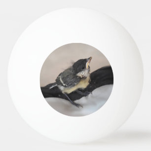 Bolinha De Ping Pong Arrumar meu passarinho o Chapim-real