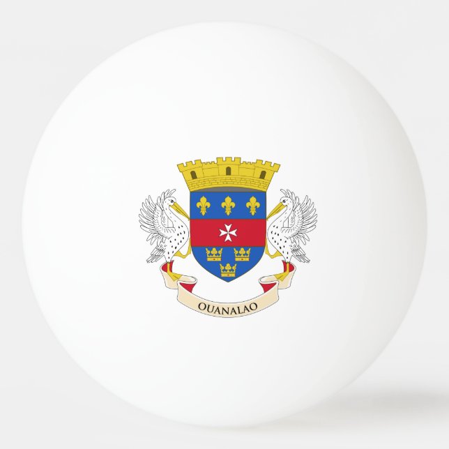 Bolinha De Ping Pong Bandeira de São Bartolomeu (Frente)