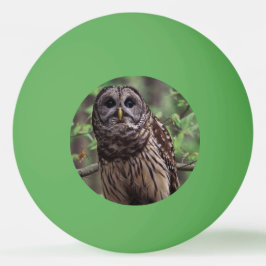 Bolinha De Ping Pong Barred Owl