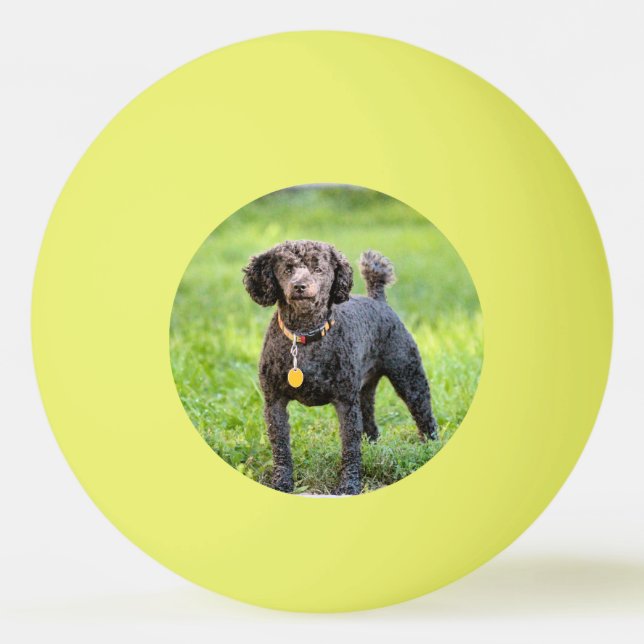 Bolinha De Ping Pong Bonjour (Frente)