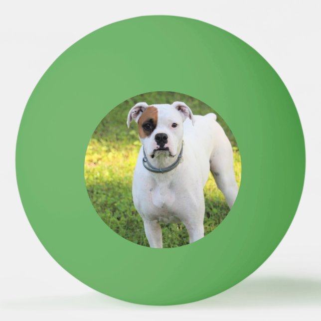 Bolinha De Ping Pong Boxer (Frente)