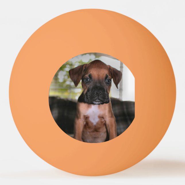 Bolinha De Ping Pong Boxer Bqby (Frente)