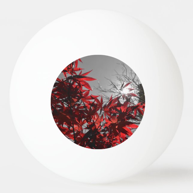 Bolinha De Ping Pong Brasas de Outono (Frente)
