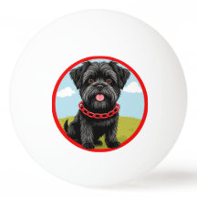 Cachorro Negro Cachorro Vermelho com Estilo de Car