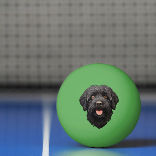 Bolinha De Ping Pong Cachorro Preto Labradoodle