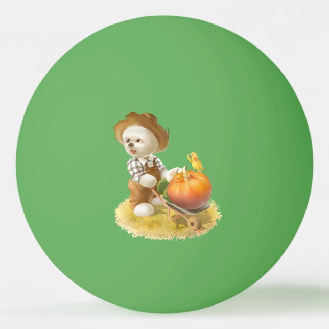 Bolinha De Ping Pong Cachorro-quente com abóbora (Frente)