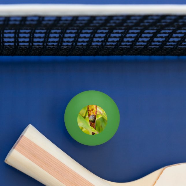 Bolinha De Ping Pong calma (Mesa)