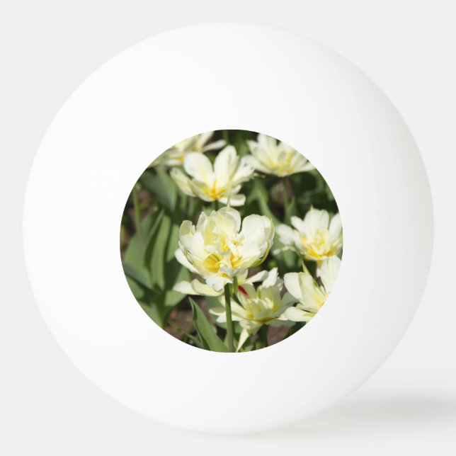 Bolinha De Ping Pong Campo de tulipas brancas Foto (Frente)