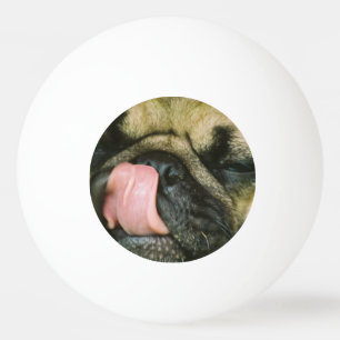 Bolinha De Ping Pong Cão do Pug