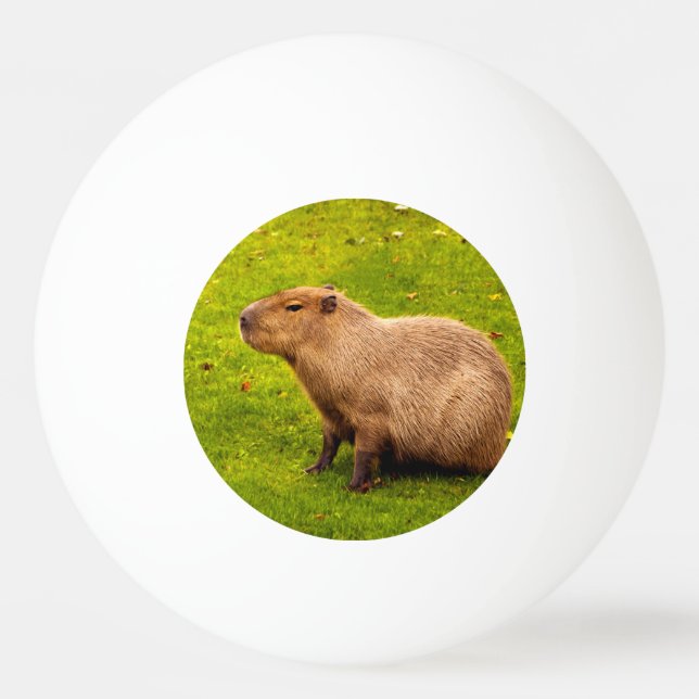 Bolinha De Ping Pong Capybara (Frente)